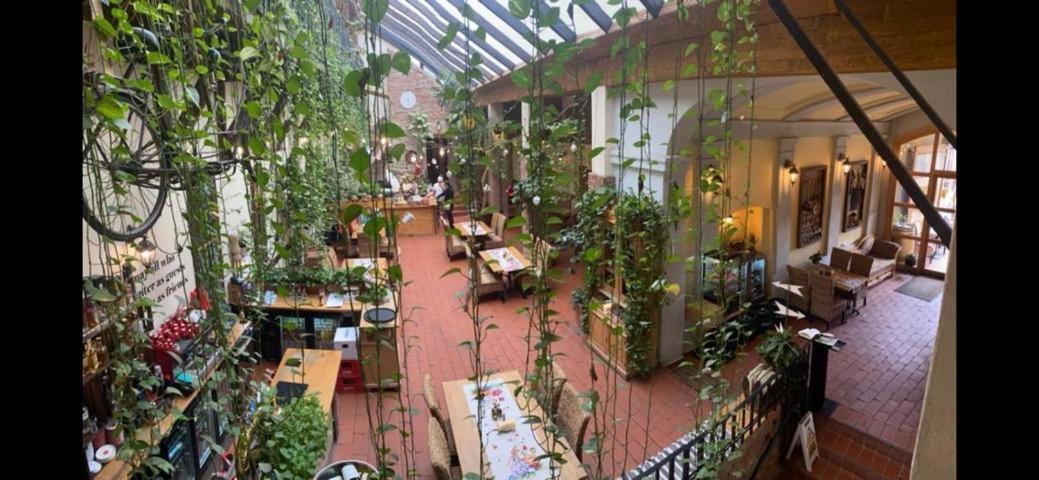 Pensiunea Gasthaus Alte Post Sighişoara Eksteriør bilde